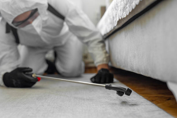 Professional Bed Bug Control technician working in Tuckahoe, NY