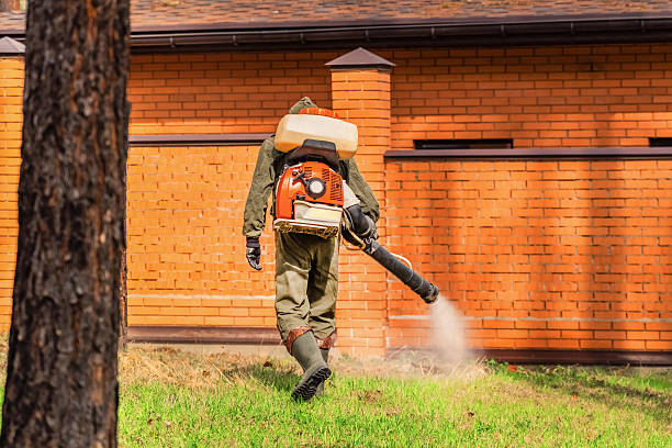 Trusted Cockroach Control service in Tuckahoe, NY - Nex Pest Control